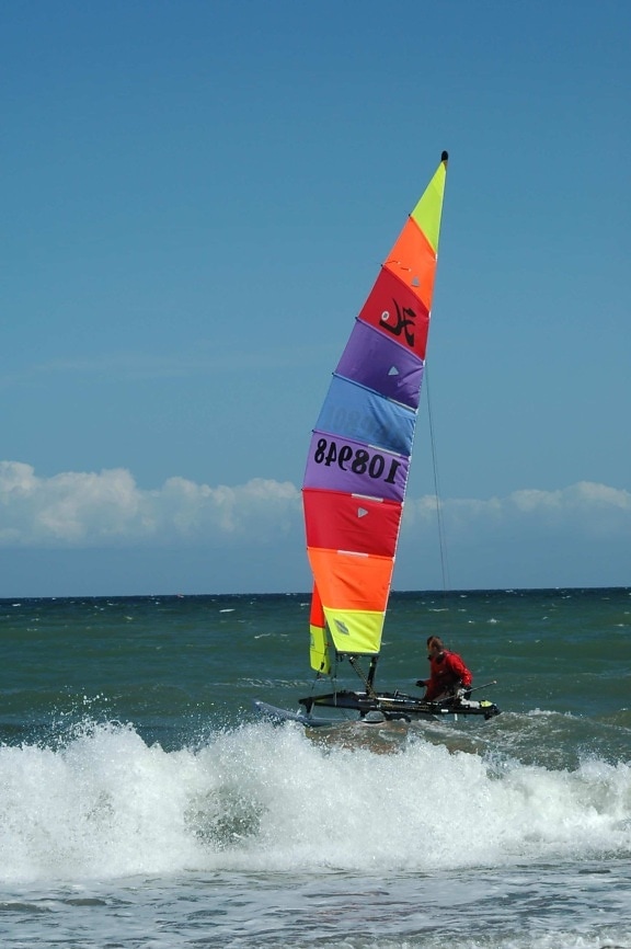 wind, race, water, sport, wind, catamaran, sailboat, sea, ocean, boat
