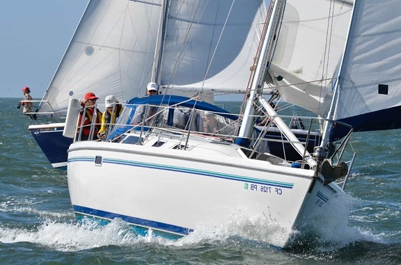 sailboat, yacht, sail, sport, race, wind, watercraft, boat, regatta, water