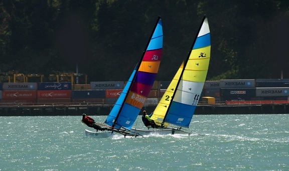 Sport, race, vattenskotrar, konkurrens, fordon, vatten, segelbåt