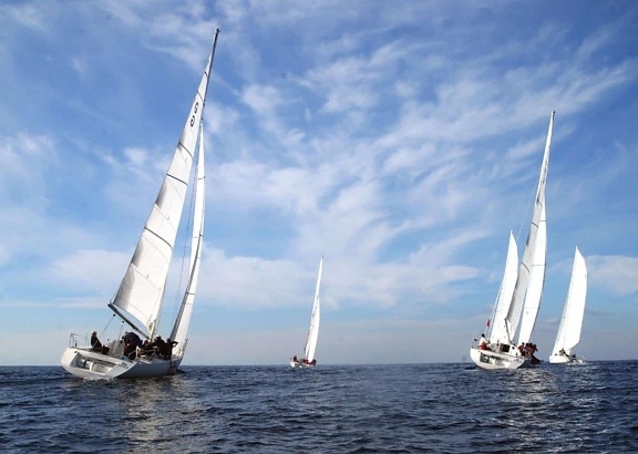 sailboat, sail, yacht, watercraft, water, boat, sport, race, wind, regatta