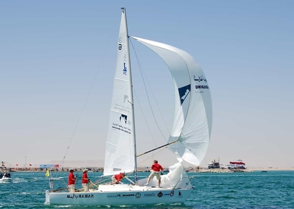 sailboat, yacht, sail, sport, race, wind, water, watercraft, sea, boat