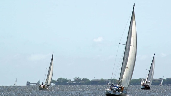sailboat, sail, watercraft, sport, wind, water, yacht, vehicle, race