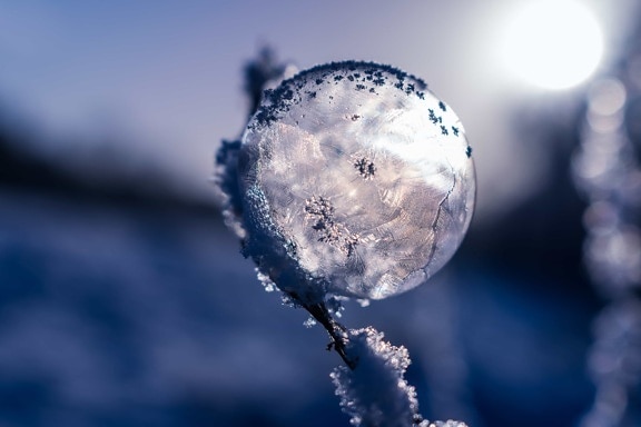 frost, winter, nature, snow, ice, crystal, snowflake, sphere, sky