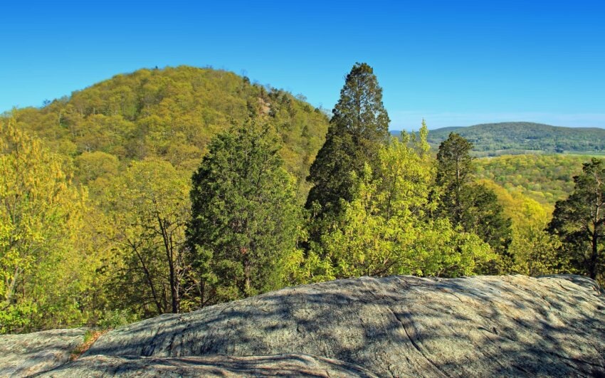 Imagine Gratuită Peisaj Padure Natura Copac Cer Albastru Lemn