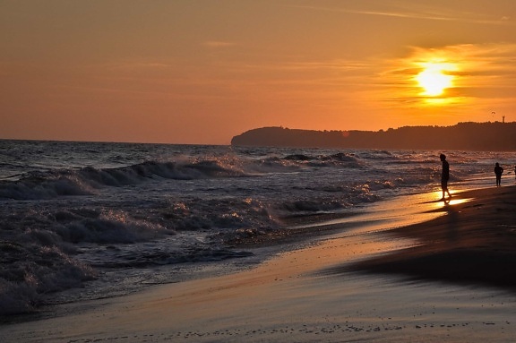 日の出、シルエット、波、ビーチ、水、夜明け、海、海、夕暮れ時、太陽、海岸