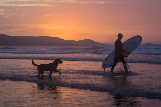 person, dog, recreation, beach, sunrise, ocean, seashore, silhouette