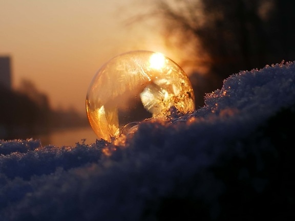 Kontur, Frost, Kristall, Winter, Sonnenaufgang, Gegenlicht, Sonnenlicht, Natur