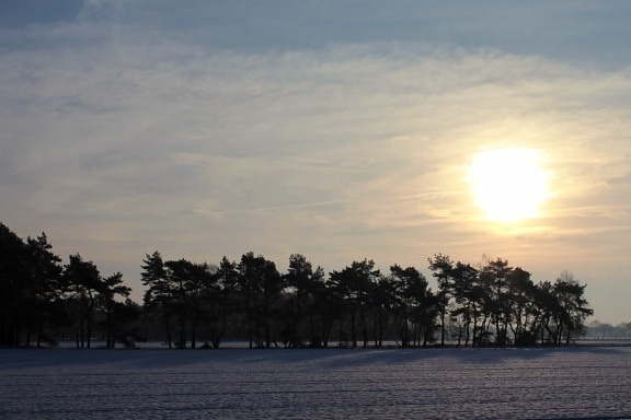 sunrise, landscape, water, dawn, tree, sun, snow, frost