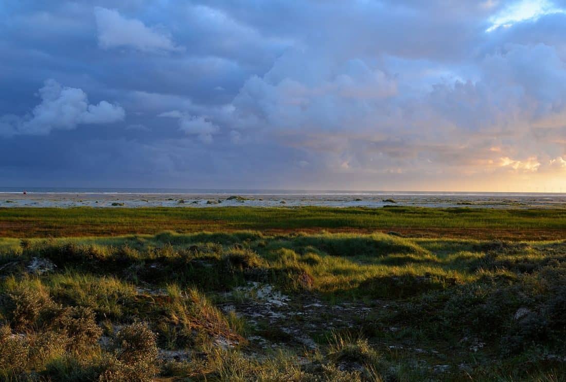 landschap, zonsopgang, blauwe lucht, weide, natuur, gras, steppe, land, sfeer