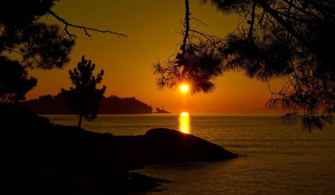 Sunrise, siluetti, puu, dawn, vesi, beach, taustavalaistu, hämärä, sun, ocean