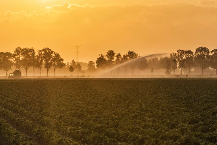 Free Picture Landscape Dawn Fog Sunrise Silhouette Agriculture Outdoor Mist Tree Mist