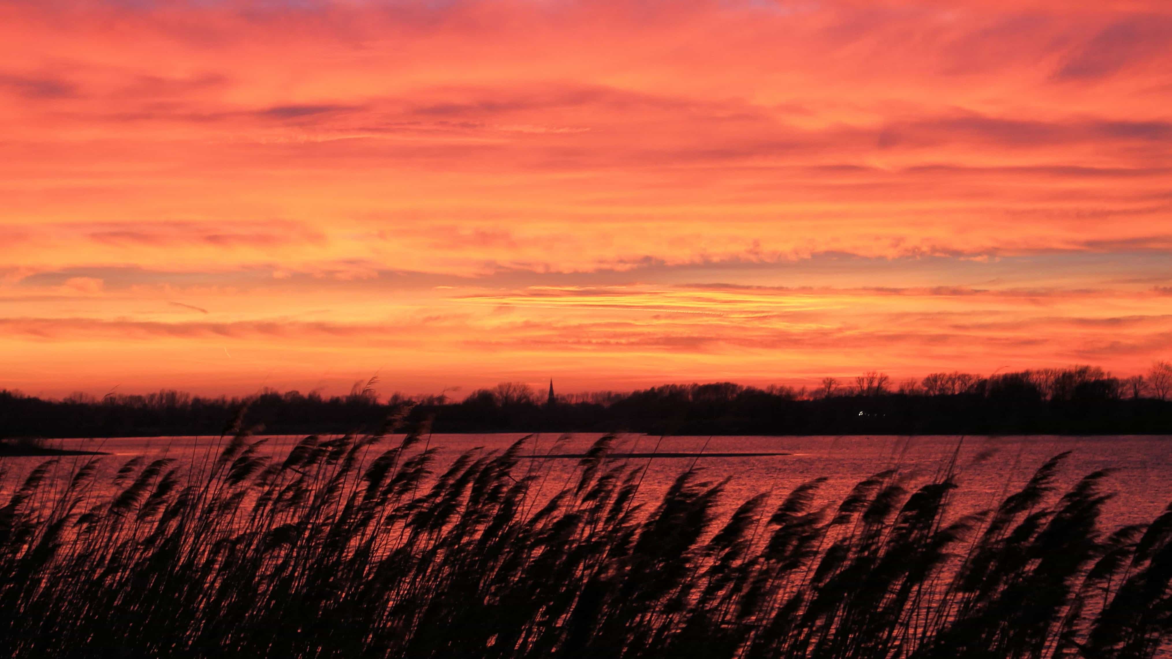 Free Picture Sunrise Swamp Backlit Dawn Landscape Nature Sky