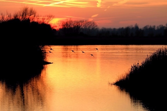 Dawn, východ slunce, večer, jezero, reflexe, voda, krajina, soumrak