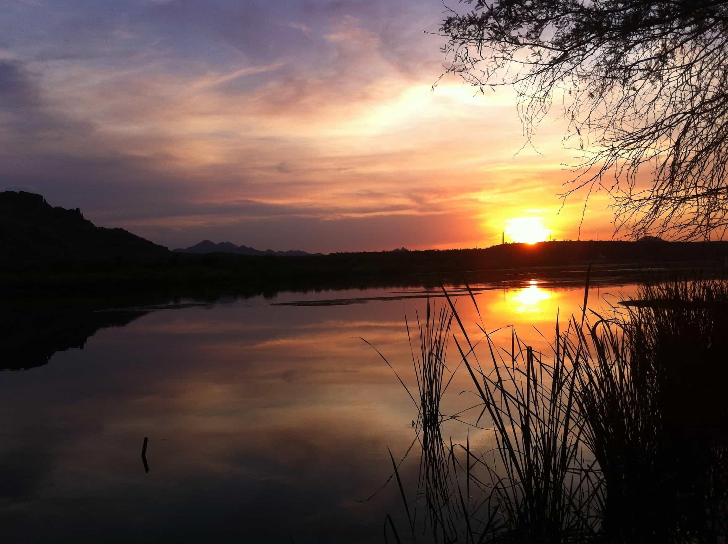 フリー写真画像 日の出 国立公園 草 日光 夜明け 水 反射 太陽 夕暮れ 湖 自然