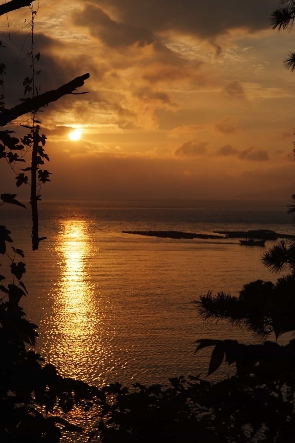 sunrise, tropical island, pacific, sunlight, dawn, water, backlit, sun, beach, silhouette