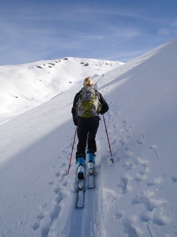 neve, persona, sport, inverno, montagna, freddo, avventura, ghiaccio, sciatore