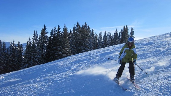nieve, invierno, frío, montaña, deporte, esquiador, madera, hielo, paisaje
