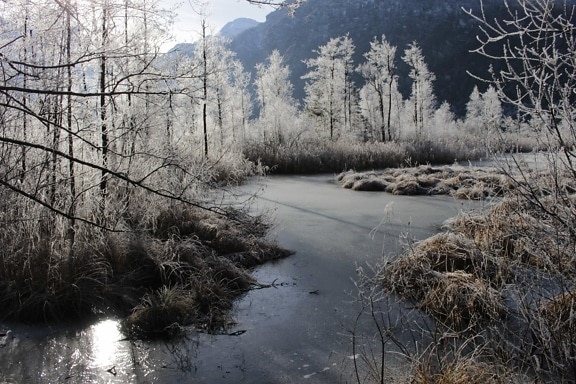 landschap rivier, outdoor, winter, boom, sneeuw, hout, natuur, koude, vorst