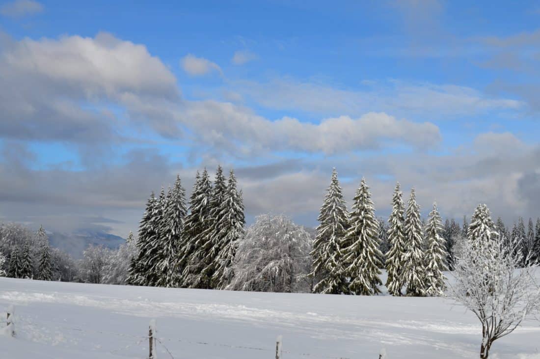 snö, vinter, frost, skog, hill, blå himmel, moln, kalla, trä, is, frysta, träd, landskap