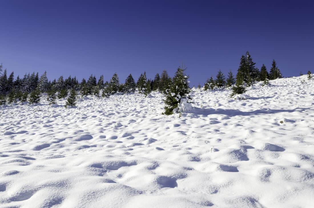 雪, 冬天, 寒冷, 山, 山, 风景, 冰, 天空, 森林