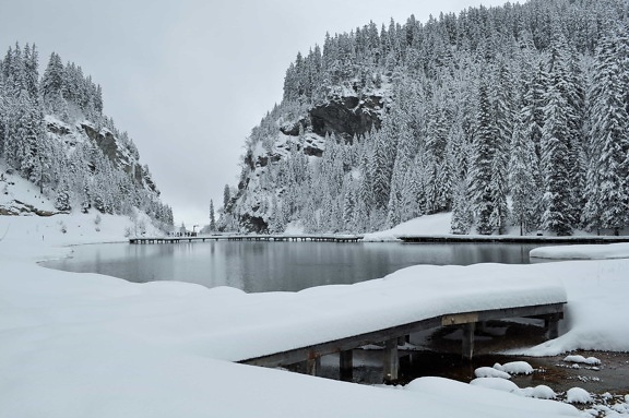 snow, winter, cold, lake, mountain, wood, ice, frozen, frost