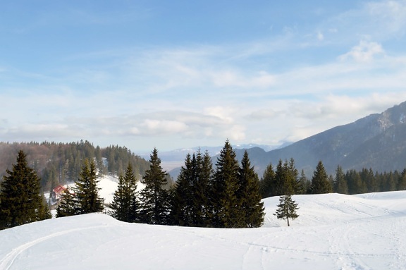 snö, vinter, berg, kulle, blå himmel, kall, landskap, träd, träd