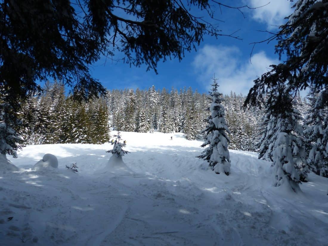 sne, vinter, kulde, vind, blå himmel, træ, træ, ice, landskab, mountain