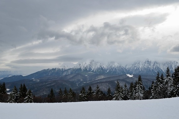 tuyết, đám mây, hill, mùa đông, núi, lạnh, gỗ, đá, cảnh quan, cây
