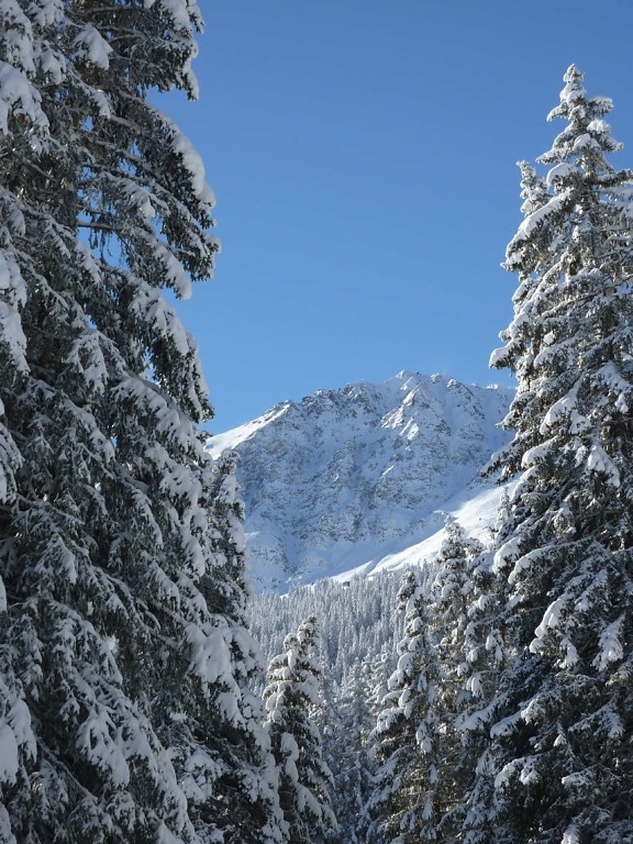 nieve, invierno, frío, Cerro, glaciar, azul cielo, madera, montaña, helada, hielo, paisaje