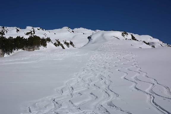 หิมะ ริดจ์ สูง ฤดูหนาว ภูเขา เย็น น้ำแข็ง ฟอกซ์กลาเซีย ภูมิทัศน์