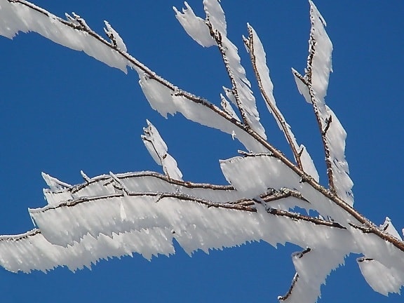 talvi, lumi, frost, sininen taivas, ice, luonto, kylmä