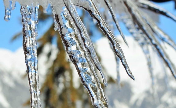 Crystal, makro, kryształ lodu, mróz, zimno, natura, mrożone, zima, śnieg, lód