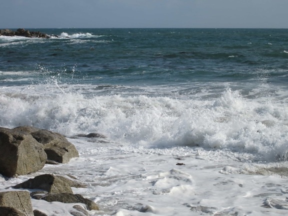 wave, wilderness, tide, water, sea, seashore, ocean, beach, foam, wave, coast