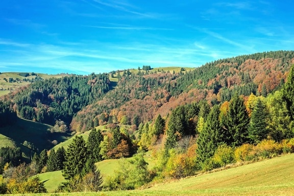 krajina, příroda, strom, hory, obloha, podzim, barevné, hill, horizont