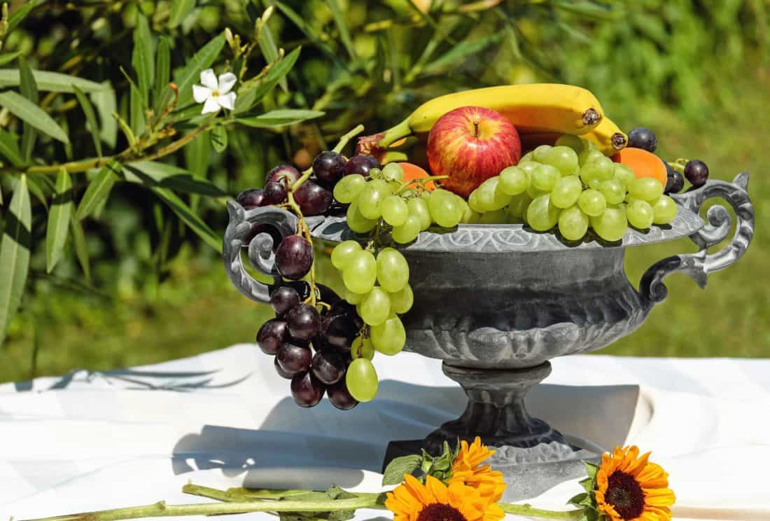 Natura, owoce, ogród, liść, winogron, apple, organiczne, roślin, kwiat, jedzenie