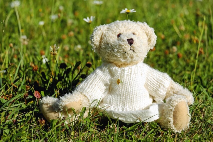Free picture: grass, field, nature, cute, teddy bear, toy, outdoor, plant