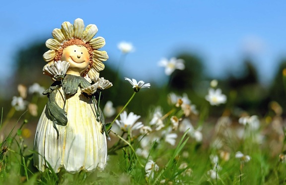 ดอกไม้ ศิลปะ ตุ๊กตา ธรรมชาติ หญ้า ฤดูร้อน พืช ฟิลด์