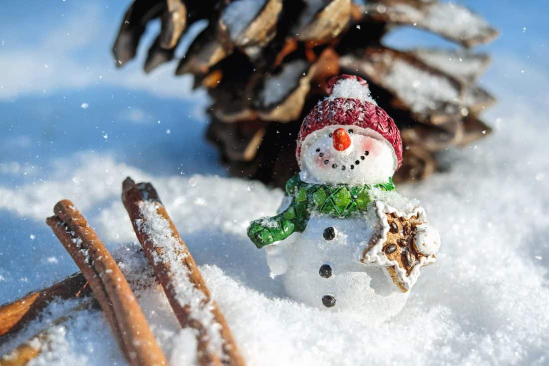 snemand, snow, figur, hat, træ, kolde, snefnug