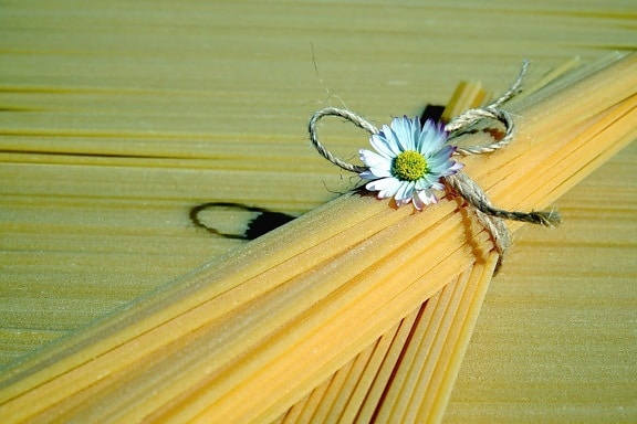 flower, petal, rope, spaghetti, pasta, food, cereal