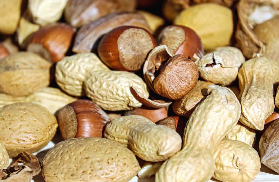 hazelnut, peanut, seed, food, nutrition, organic, macro, diet