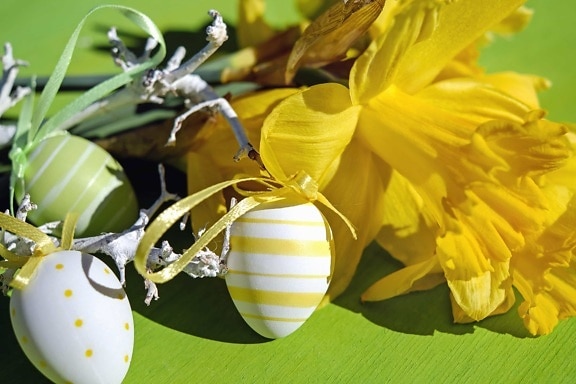 uovo, decorazione, colorato, fiore, petalo, ombra, Pasqua