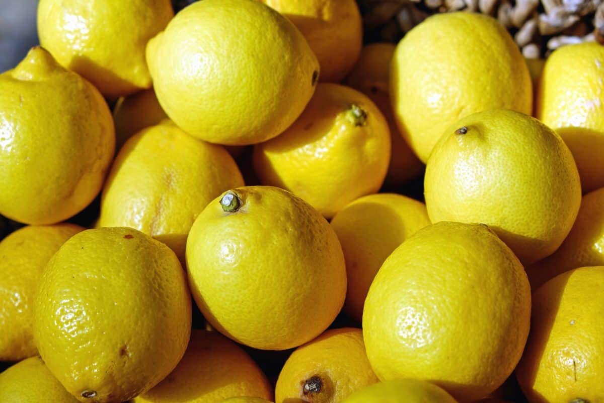 레몬, 음식, 과일, 감귤 류, 노란색, 유기, 다이어트