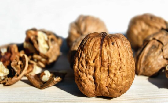 walnut, food, nutshell, nutrition, organic, protein