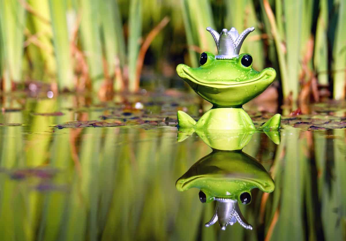 toy, figure, frog, water, wetland, reflection, crown, nature