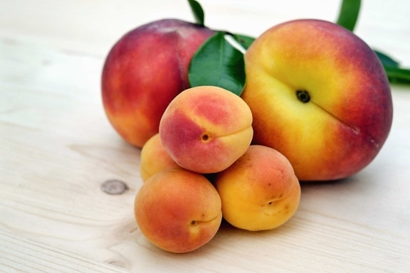 Nutrition, frukt, mat, persika, frukter, aprikos, sweet, nektarin