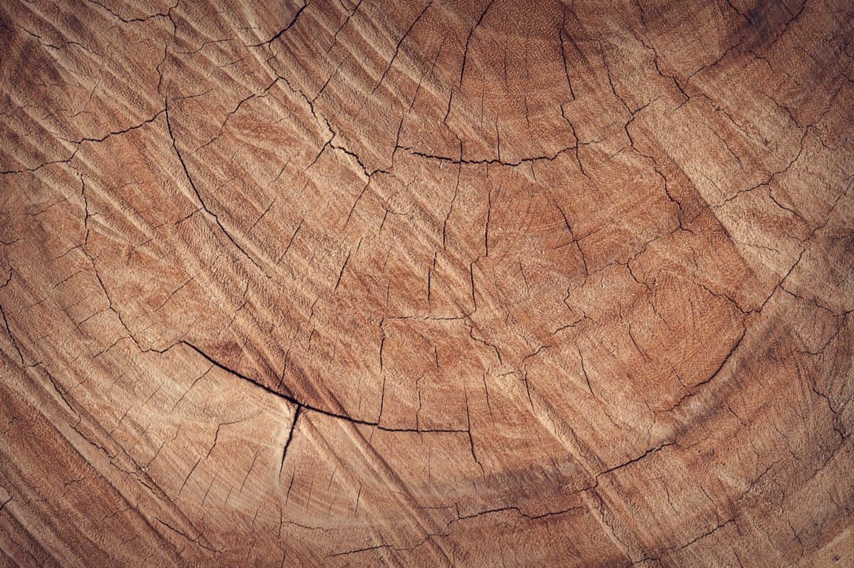 Free picture: texture, hardwood, abstract, fabric, floor ...