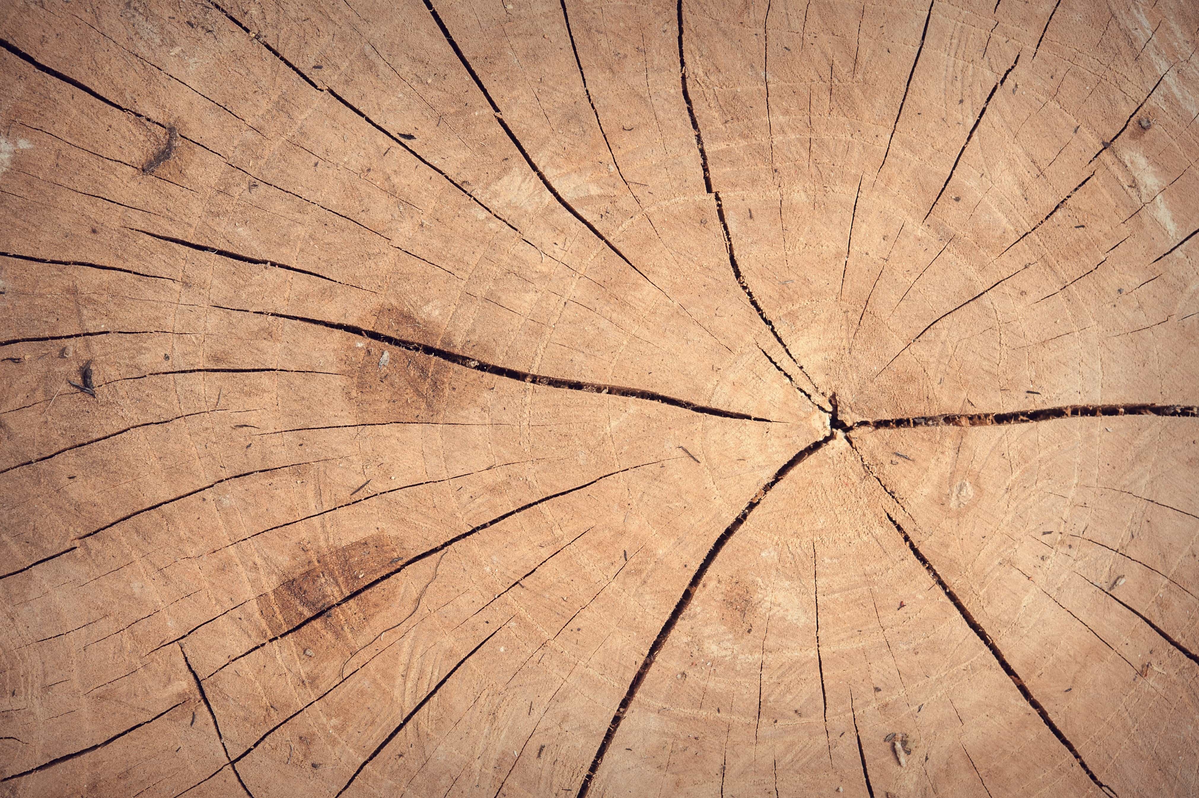 Ripiano in legno grezzo texture Foto stock - Alamy