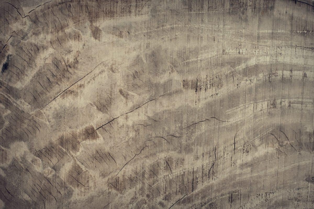 フリー写真画像 パターン 壁 テクスチャ 木材 グランジ 素材 木の板