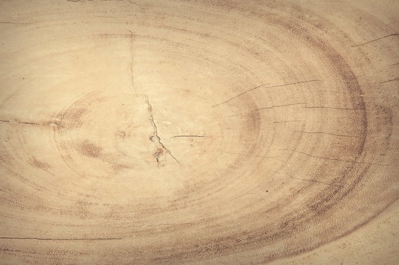 木材, 硬木, 质地, 实木复合地板, 材料