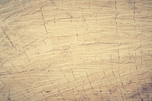 patroon, vuile, hardhout, oude, textuur, hout, oppervlakte